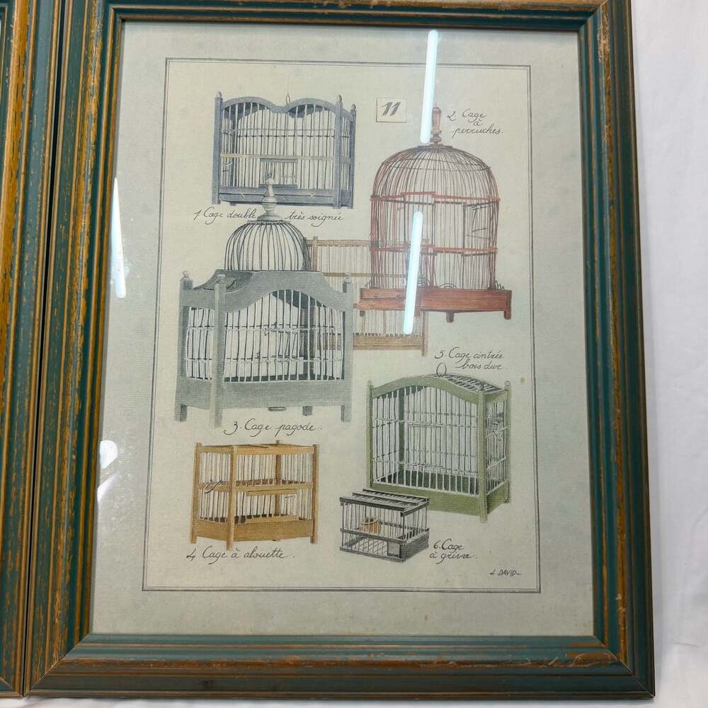 Vintage L. David French Bird Cage Botanical Prints, Distressed Green Frames (2) - Picture 6 of 10